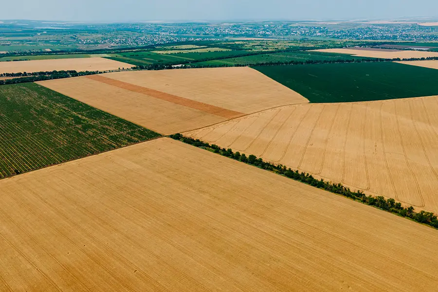 Velike poljoprivredne povrsine kao resurs za biopelet